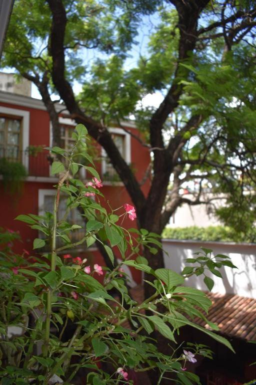 Hotel Ana Catalina And Suites San Miguel de Allende Bagian luar foto